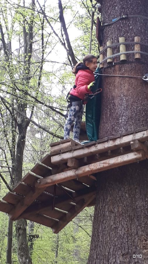 רומניה פסח 2019